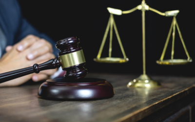 August 2024 Newsletter